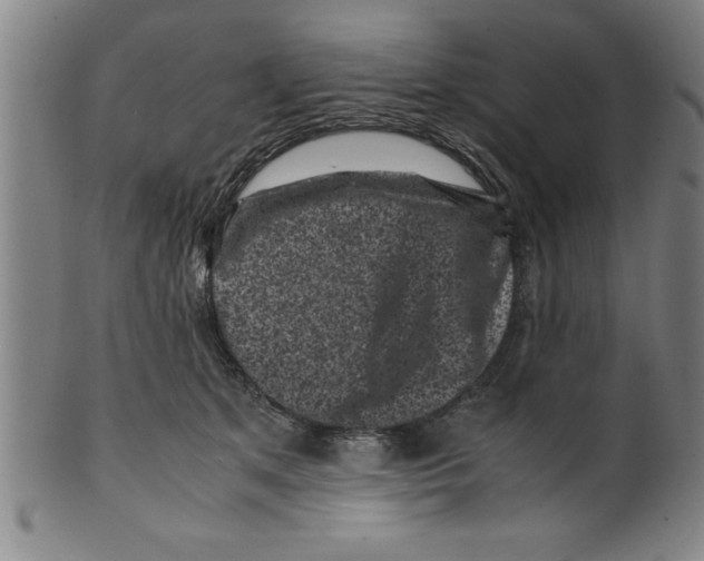 X0000099470513200806061223