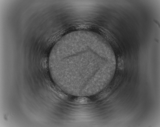 X0000099470514200806061223