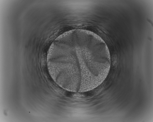 X0000099470515200806061223