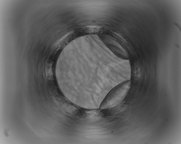 X0000099470516200806061223