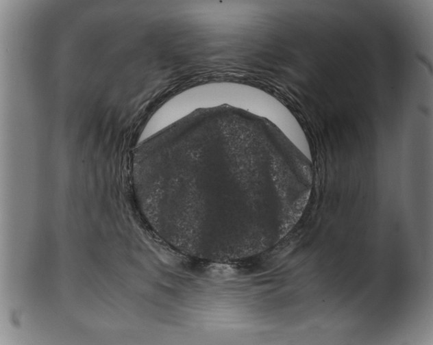 X0000099470519200806061223