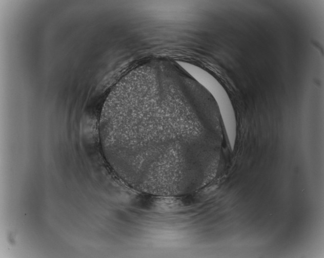 X0000099470521200806061223