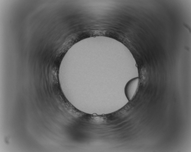 X0000099470522200806061223