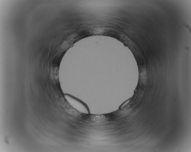 X0000099470525200806061223