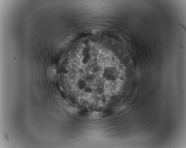 X0000099470527200806061223