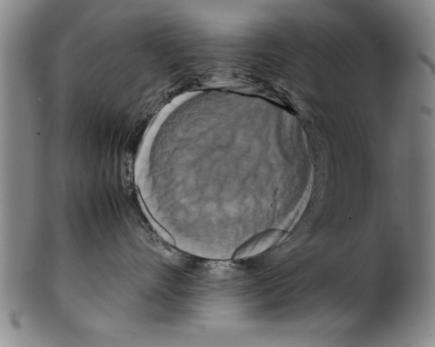 X0000099470528200806061223