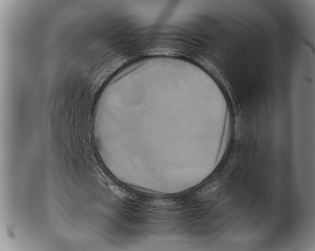 X0000099470529200806061222