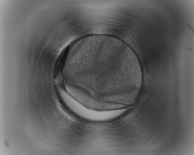 X0000099470530200806061222