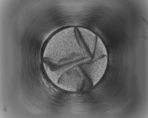 X0000099470532200806061222