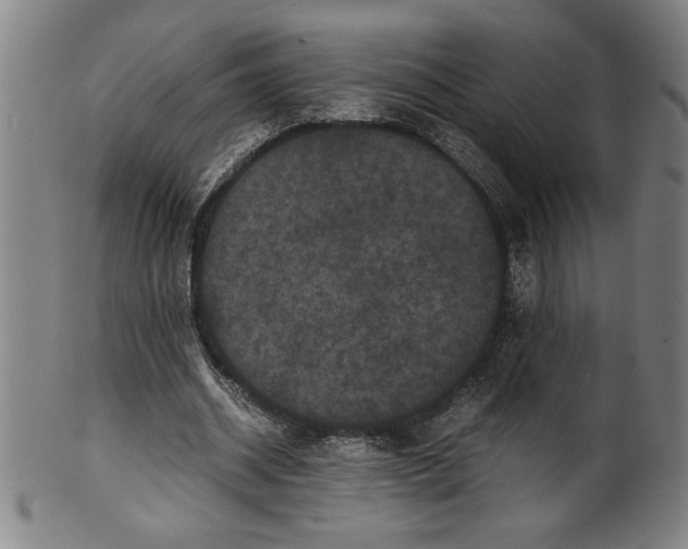 X0000099470534200806061222