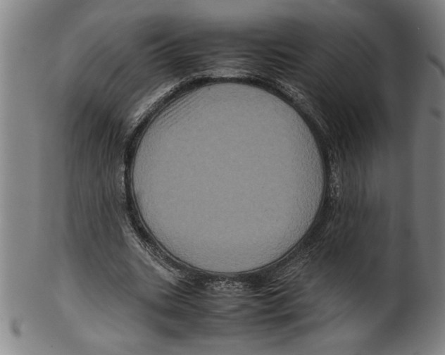 X0000099470535200806061222