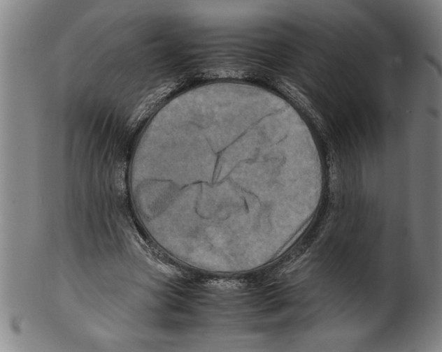 X0000099470537200806061222