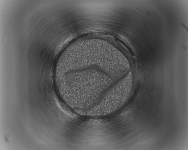 X0000099470538200806061222