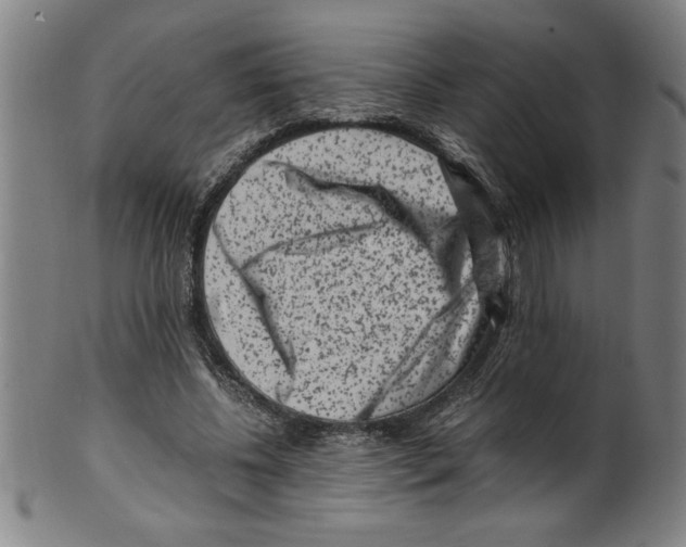 X0000099470540200806061222