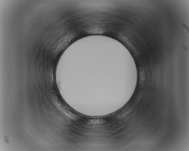 X0000099470541200806061222