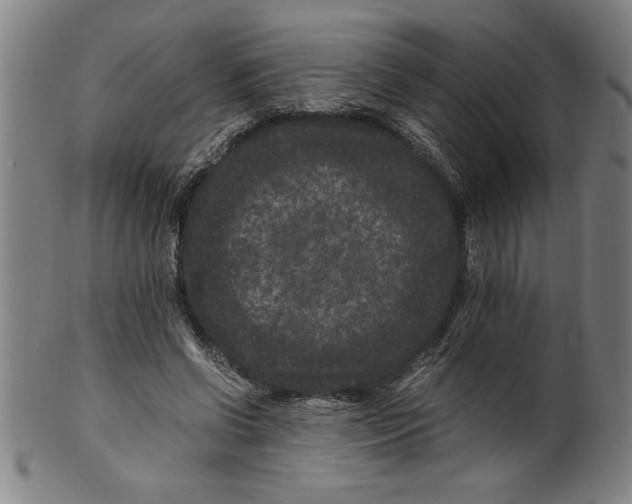 X0000099470542200806061222