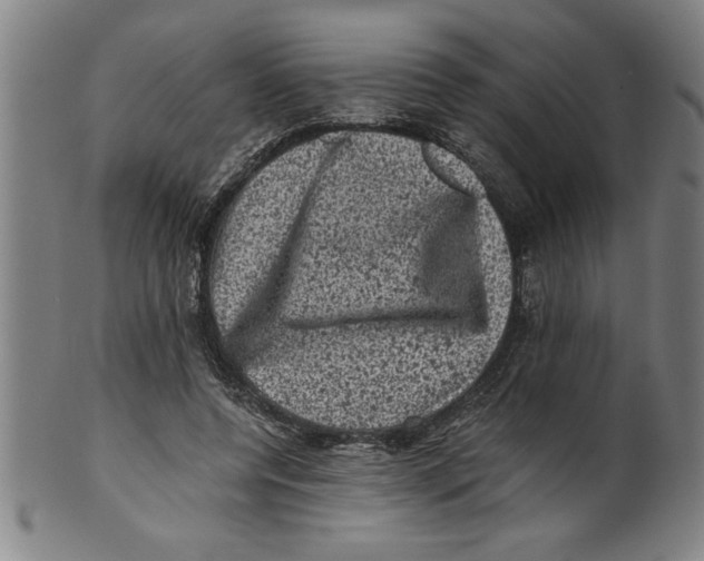 X0000099470544200806061222