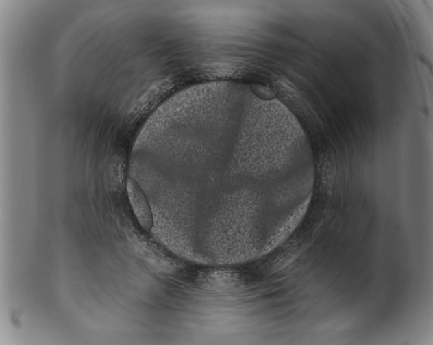 X0000099470546200806061222