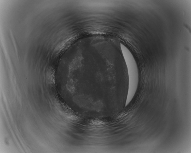 X0000099470547200806061222