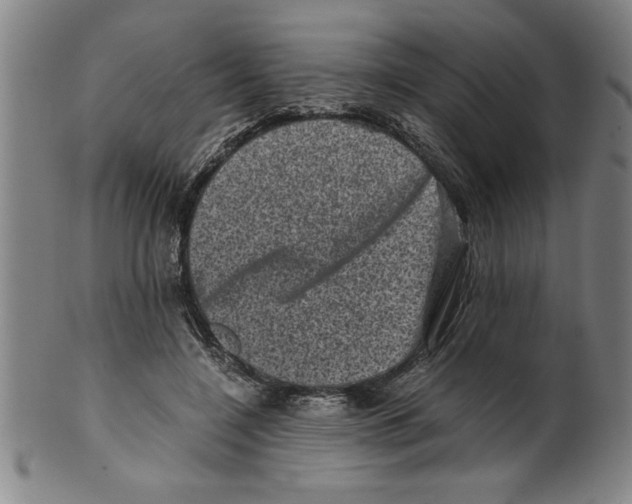 X0000099470548200806061222