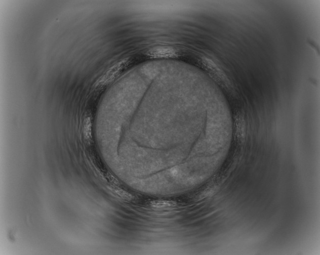 X0000099470549200806061222