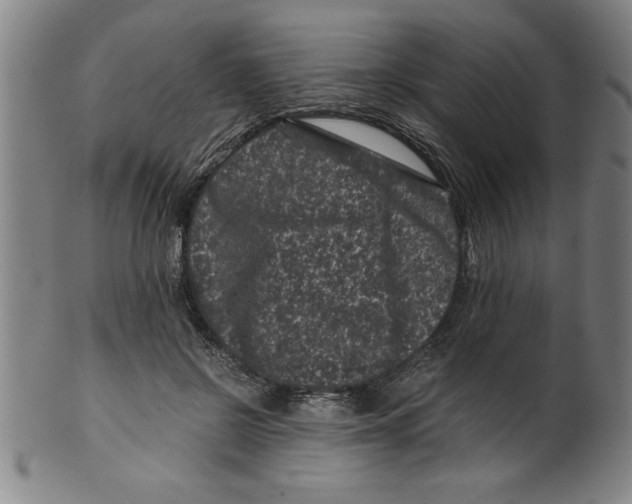 X0000099470550200806061223