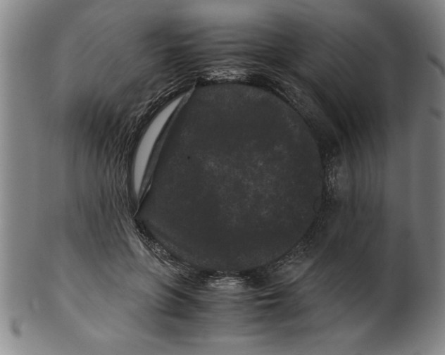 X0000099470551200806061223