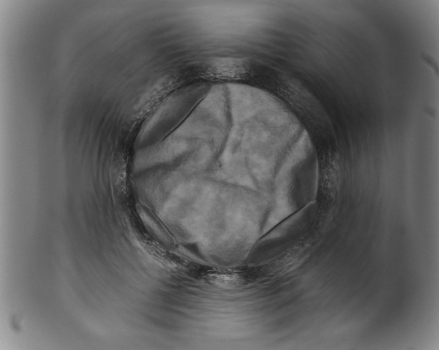 X0000099470552200806061223