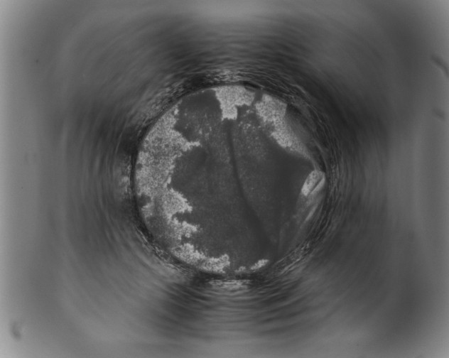 X0000099470553200806061223