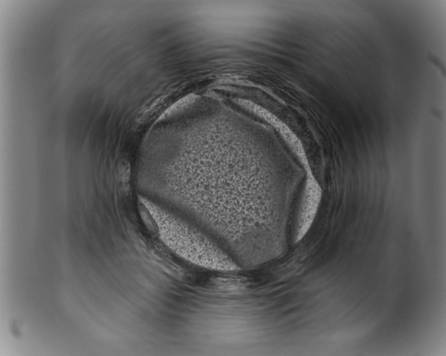 X0000099470556200806061223