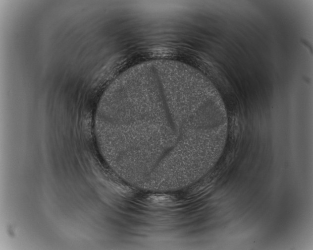 X0000099470557200806061223