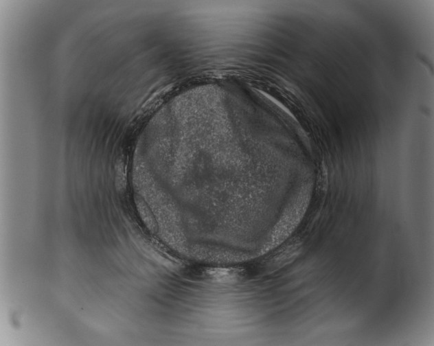 X0000099470558200806061223