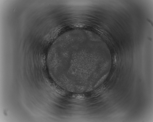 X0000099470559200806061223