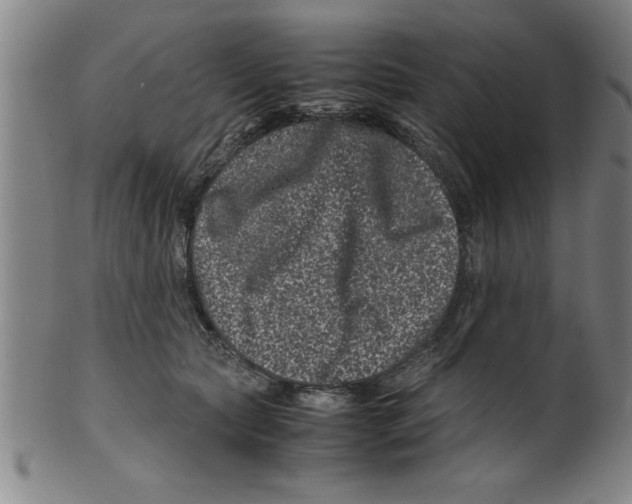 X0000099470561200806061223