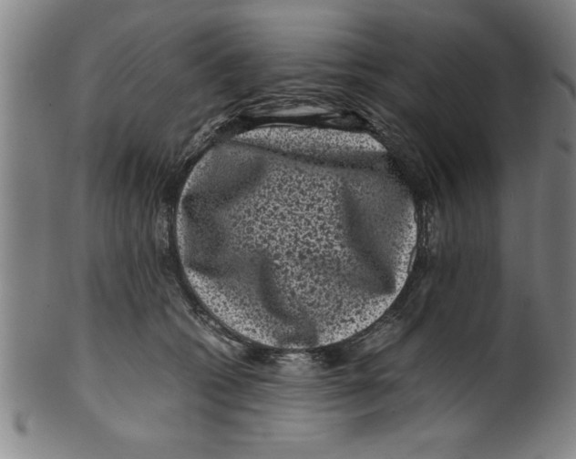 X0000099470562200806061223