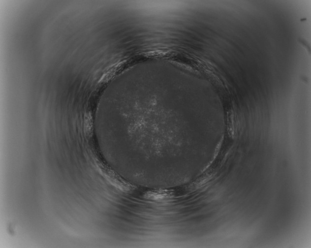 X0000099470563200806061223