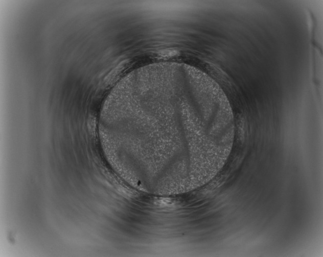 X0000099470565200806061223