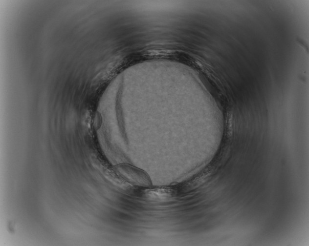 X0000099470567200806061223