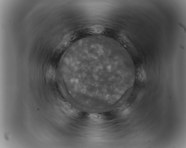 X0000099470568200806061223