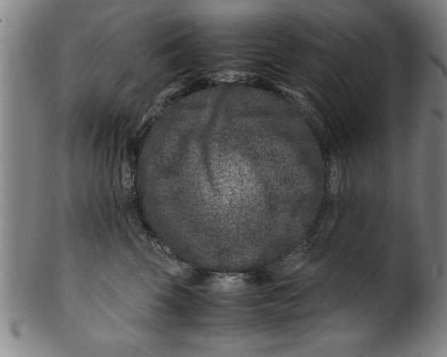 X0000099470569200806061223