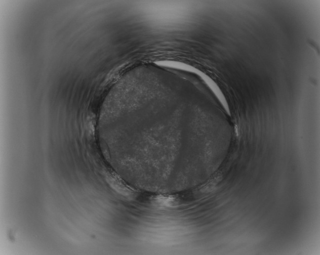 X0000099470570200806061223