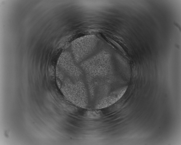 X0000099470571200806061223