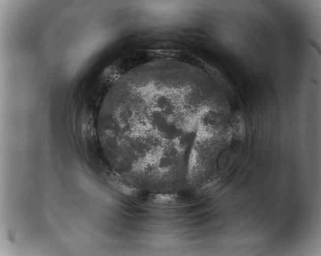 X0000099470573200806061223