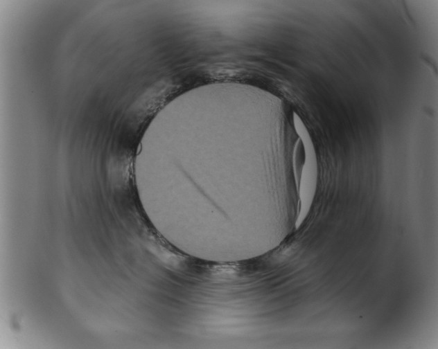 X0000099470574200806061223