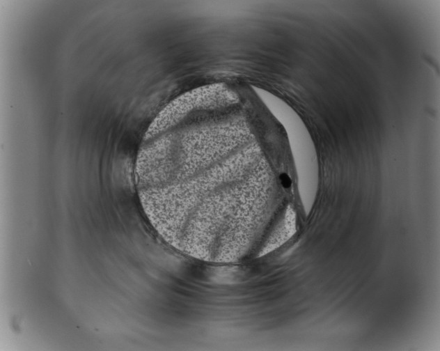 X0000099470575200806061223