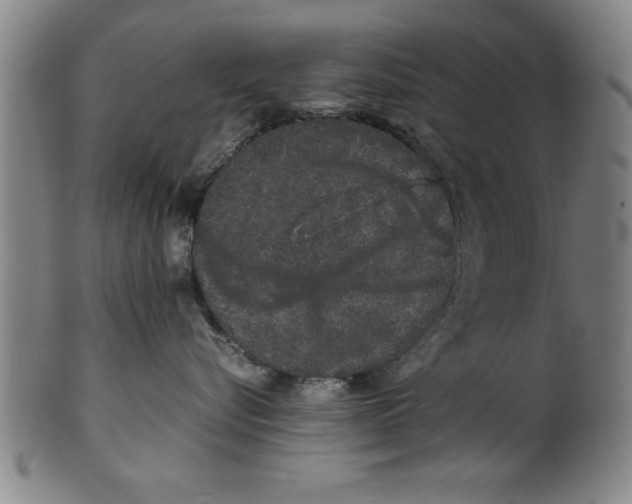 X0000099470576200806061223