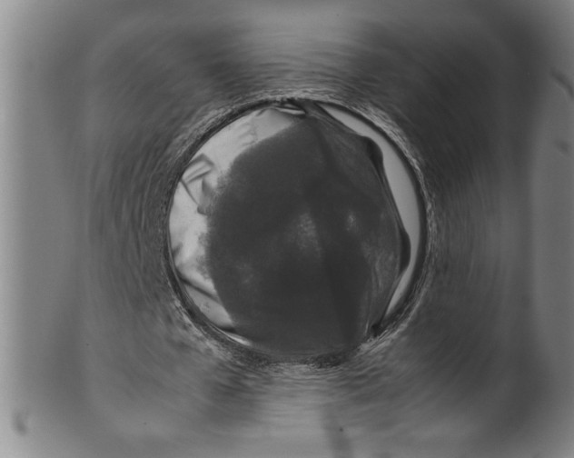 X0000099470577200806061222