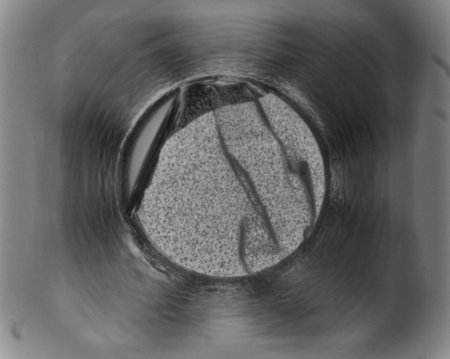 X0000099470580200806061222