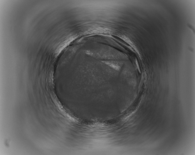 X0000099470581200806061222