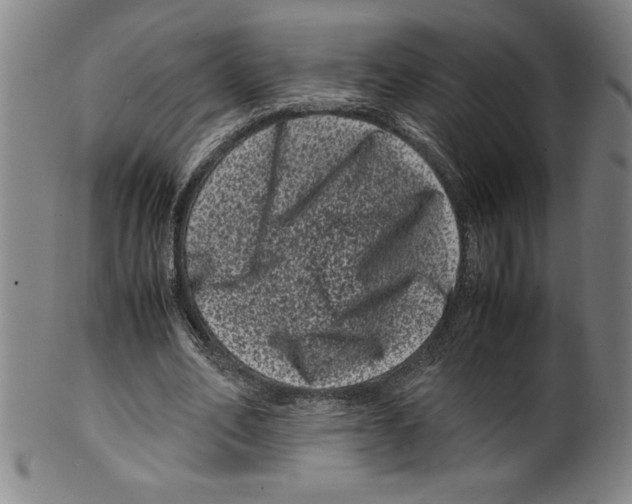 X0000099470582200806061222